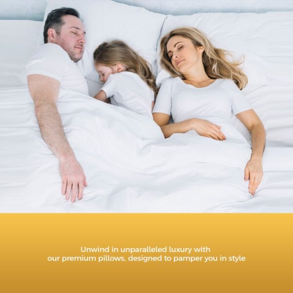 Gel Pillow in Egyptian Cotton | GelCloud - Image 2