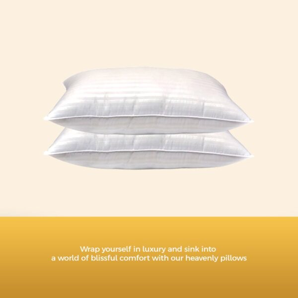 Gel Pillow in Egyptian Cotton | GelCloud - Image 3