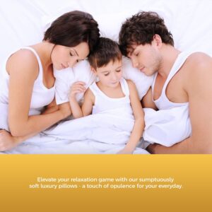 Cotton Washable Pillows | DreamCloud