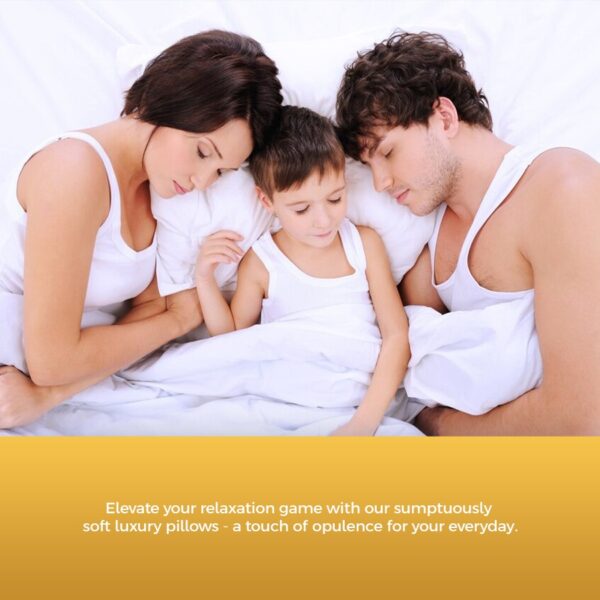 Cotton Washable Pillows | DreamCloud
